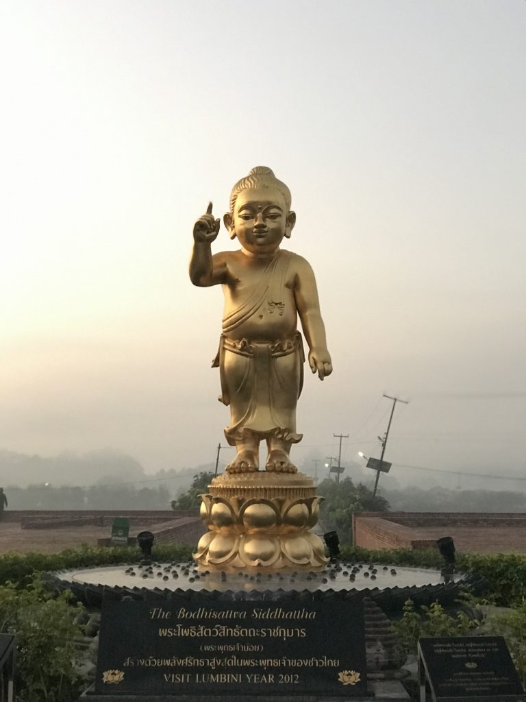 20190124_010234083_iOS